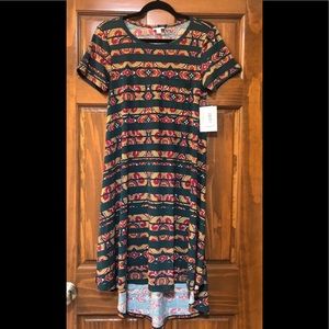 NWT LuLaRoe Carly - Green Pattern Stripe